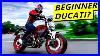 So-You-Want-A-Ducati-Monster-01-urf